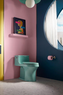 San Souci - Toilet - Vitreous China - Aspen Green