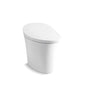 Veil - 1-Piece Toilet - 15-5/8" H Rim - Floor Mount