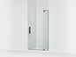 Revel - Pivot Shower Door - 5/16" Thk Glass