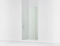 Revel - Pivot Shower Door - Anodized Aluminum - 707536-L