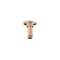 Mastershower - Shower Arm and Flange - Vibrant French