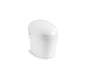 Karing - 1-Piece Toilet - Floor Mount - Elongated