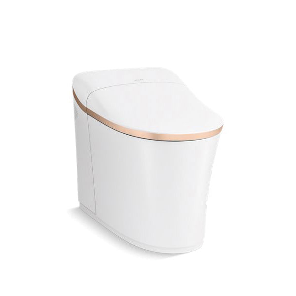 Eir Comfort Height - Toilet - Wall Mount - Elongated