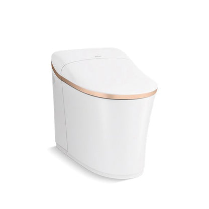 Eir Comfort Height - Toilet - Wall Mount - Elongated