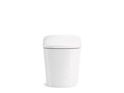 Eir Comfort Height - Toilet - Wall Mount - Elongated