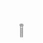 Screw - 2.63" OAL - 1/4-20 Screw