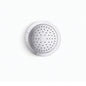 Forte - Single Function Showerhead - Wall Mount
