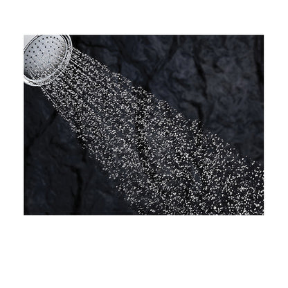 Forte - Single Function Showerhead - Wall Mount
