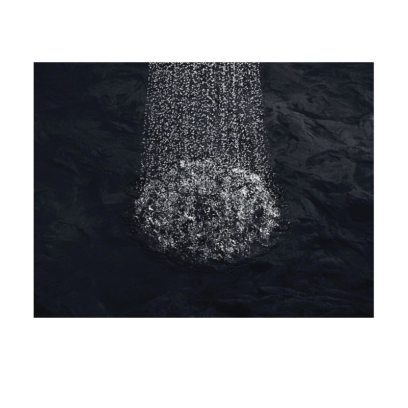 Forte - Single Function Showerhead - Wall Mount