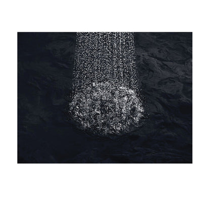 Forte - Single Function Showerhead - Wall Mount