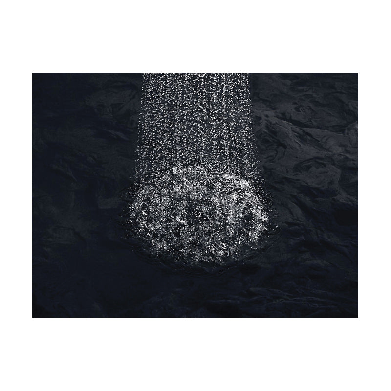 Forte - Single Function Showerhead - Wall Mount