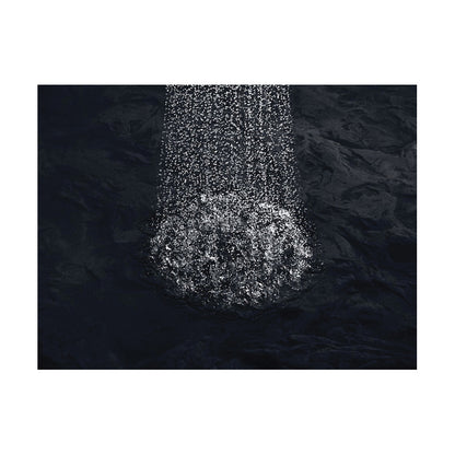 Forte - Single Function Showerhead - Wall Mount