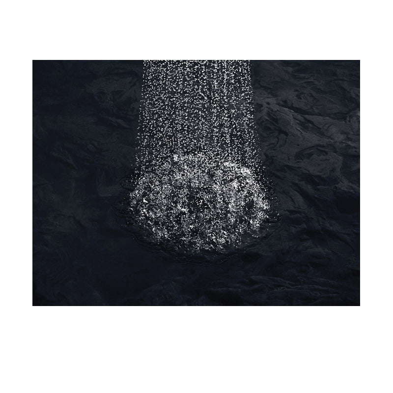 Bancroft - Single Function Showerhead - 2.5 GPM Min