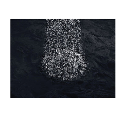 Bancroft - Single Function Showerhead - 2.5 GPM Min