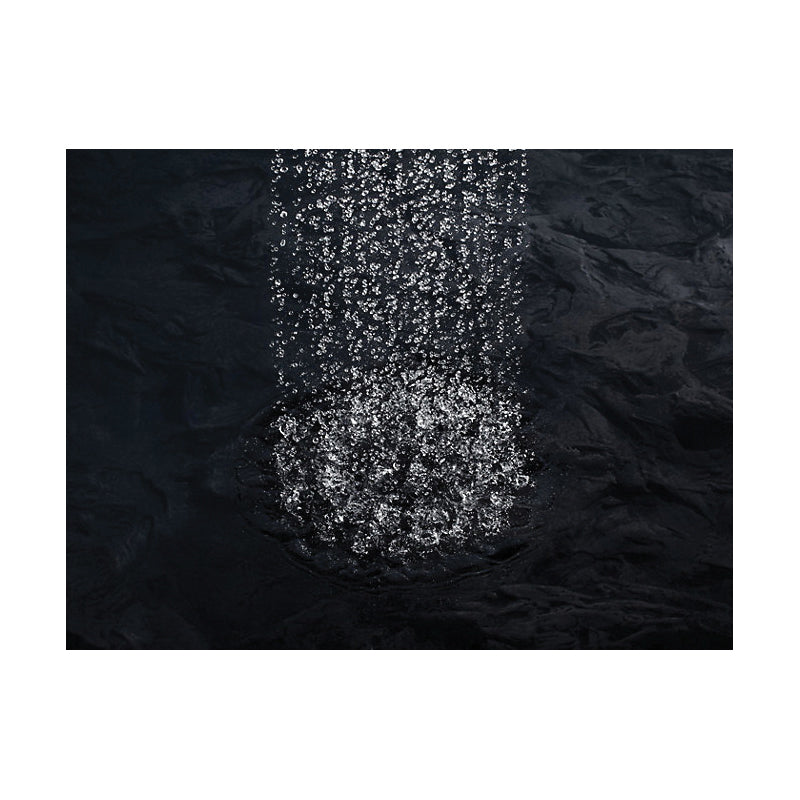 Raincan Shower Head - Ceiling Mount - 2.5 GPM
