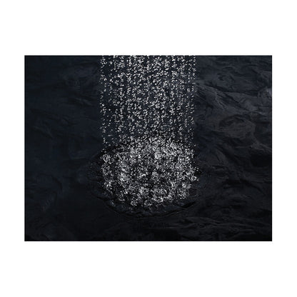 Raincan Shower Head - Ceiling Mount - 2.5 GPM