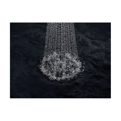 Flipside - Showerhead - Wall Mount