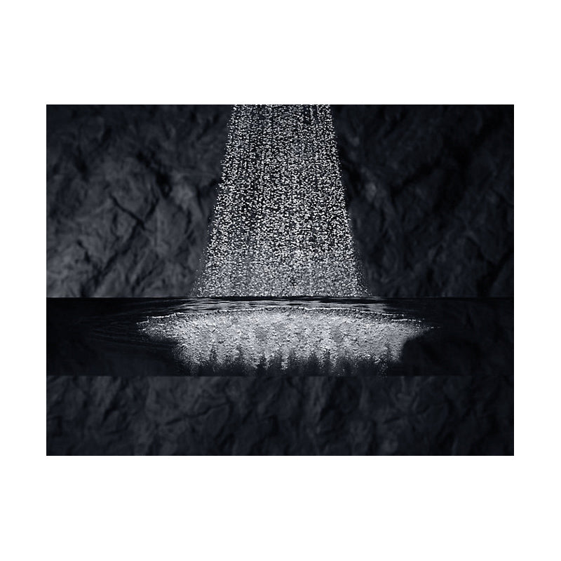 Flipside - Multi Function Showerhead - Wall Mount