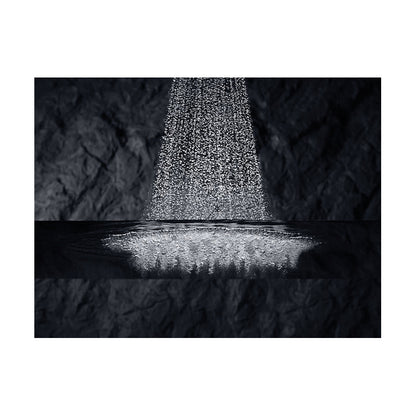 Flipside - Multi Function Showerhead - Wall Mount