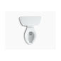 Wellworth Classic - 2-Piece Toilet - Floor Mount