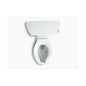 Barrington - 2-Piece Toilet - Elongated