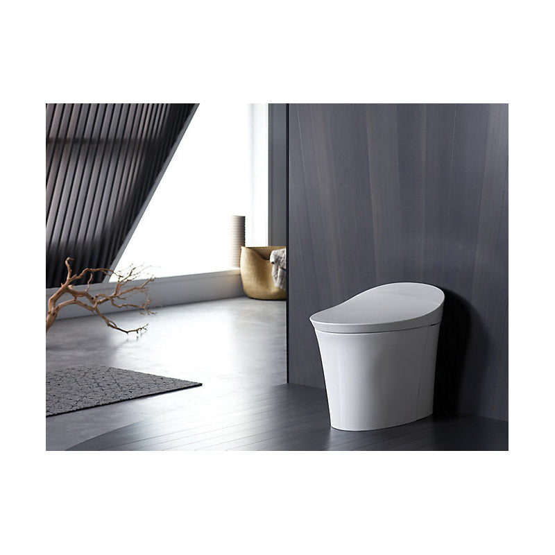 Veil - 1-Piece Toilet - 15-5/8" H Rim - Floor Mount