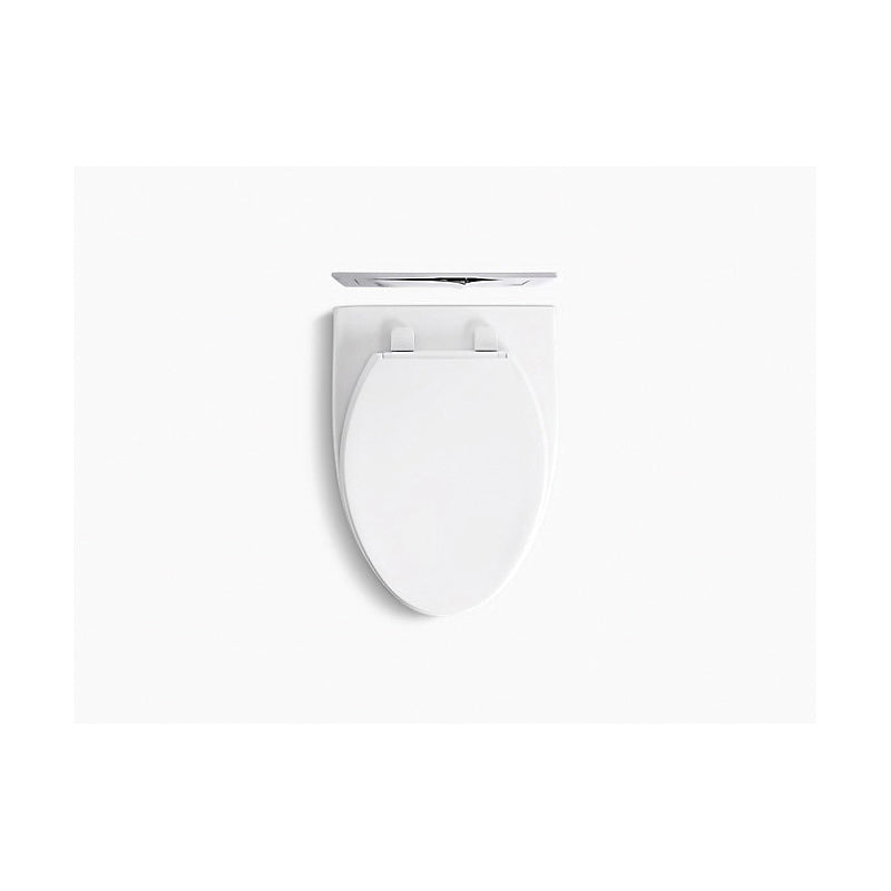 Veil - 1-Piece Toilet - Wall Hung - Elongated