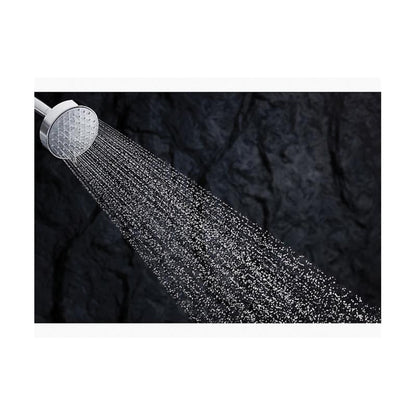 Awaken G110 - Hand Shower - 2 GPM
