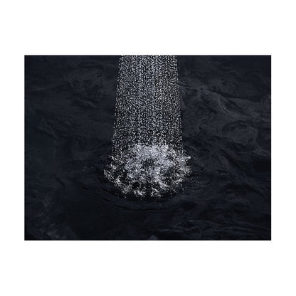 Awaken B90 - 1-Function Showerhead - 1.75 GPM Min