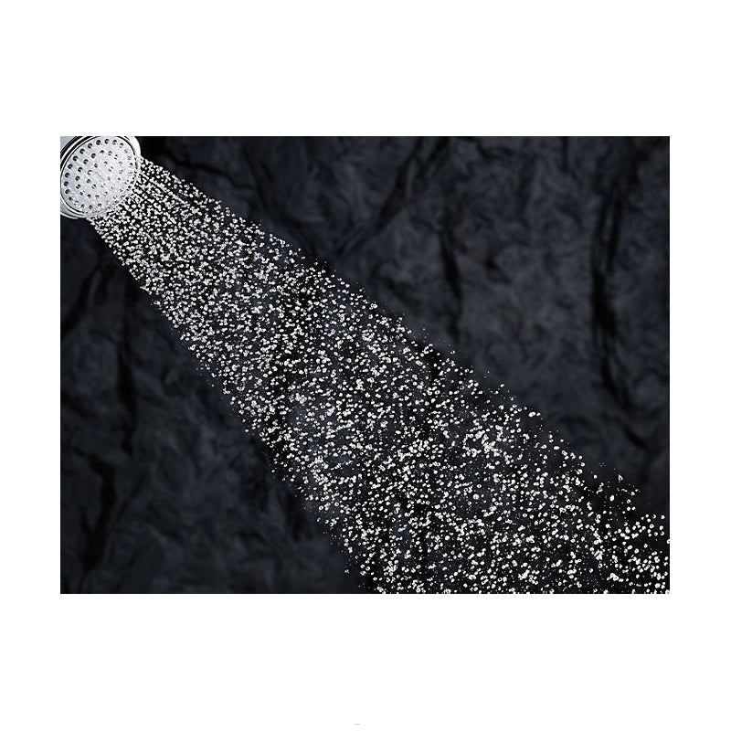 Artifacts - Hand Shower - 2 GPM - Vintage