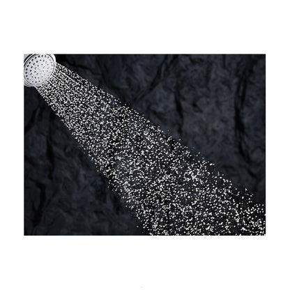 Artifacts - Hand Shower - 2 GPM - Vintage