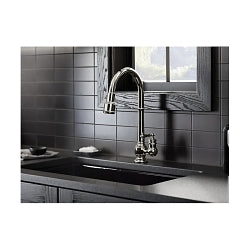 Artifacts Kitchen Sink Faucet, Oil Rubbed Bronze