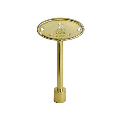 Chrome Key - 12"