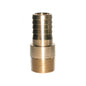 2" Adapter - Cast Bronze - Insert x MNPT