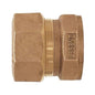 T-4355NL - 1-1/4" Coupling - Bronze - CTS Compression x FNPT
