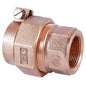 LEGEND 313-290NL T-4320NL No Lead Water Service Fitting, 1 in Nominal, PEP x FNPT End Style, Bronze