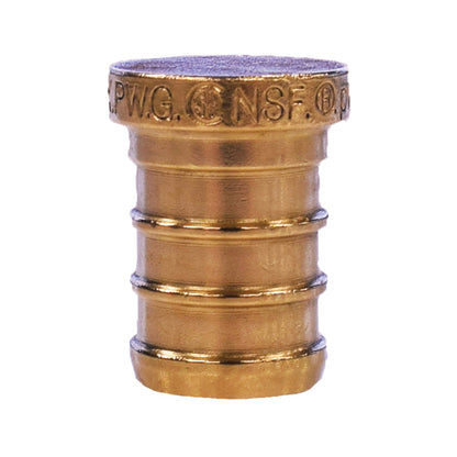 1" Plug - Dzr Forged Brass - PEX
