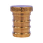 1" Plug - Dzr Forged Brass - PEX