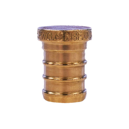 1" Plug - Dzr Forged Brass - PEX