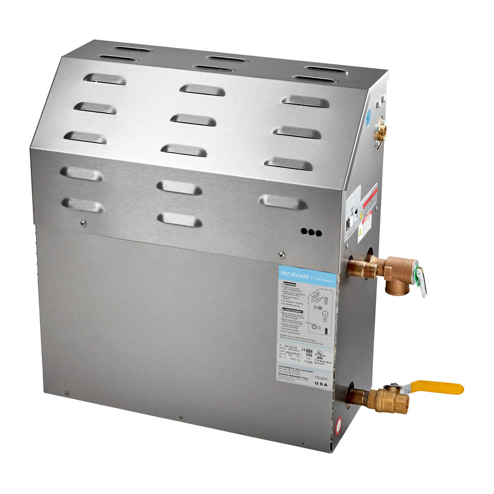 ESERIES 10 KW STM BTH GNRTR