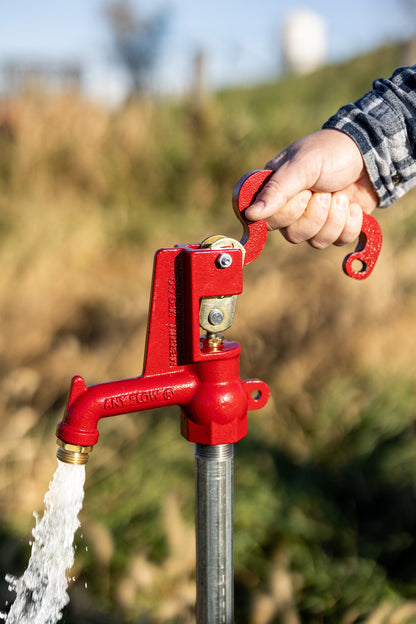 Any Flow - 3/4" Hi-Capacity Frost-Proof Hydrant - AFNL7502