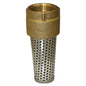 1" Foot Valve - Brass