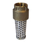 3/4" Foot Valve - Brass - NPT