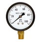 Standard Pressure Gauge - Lower - Steel Case