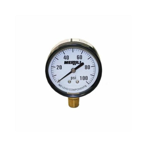 Standard Pressure Gauge - Lower - Steel Case