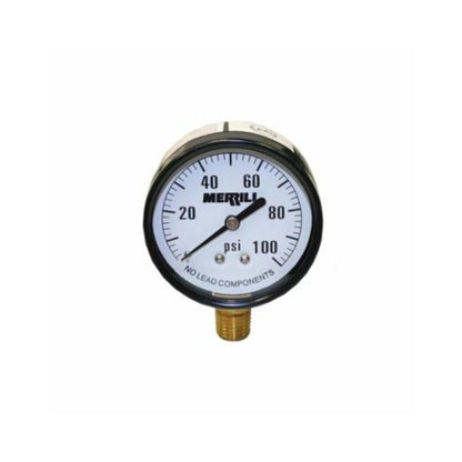 Standard Pressure Gauge - Lower - Steel Case