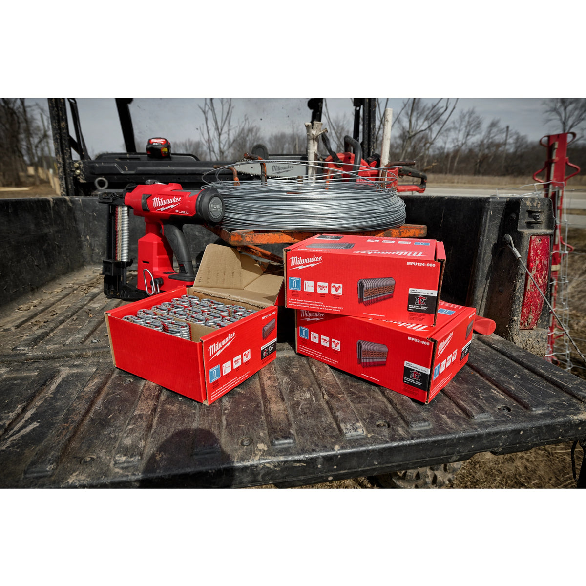 Staples - 1.5" L