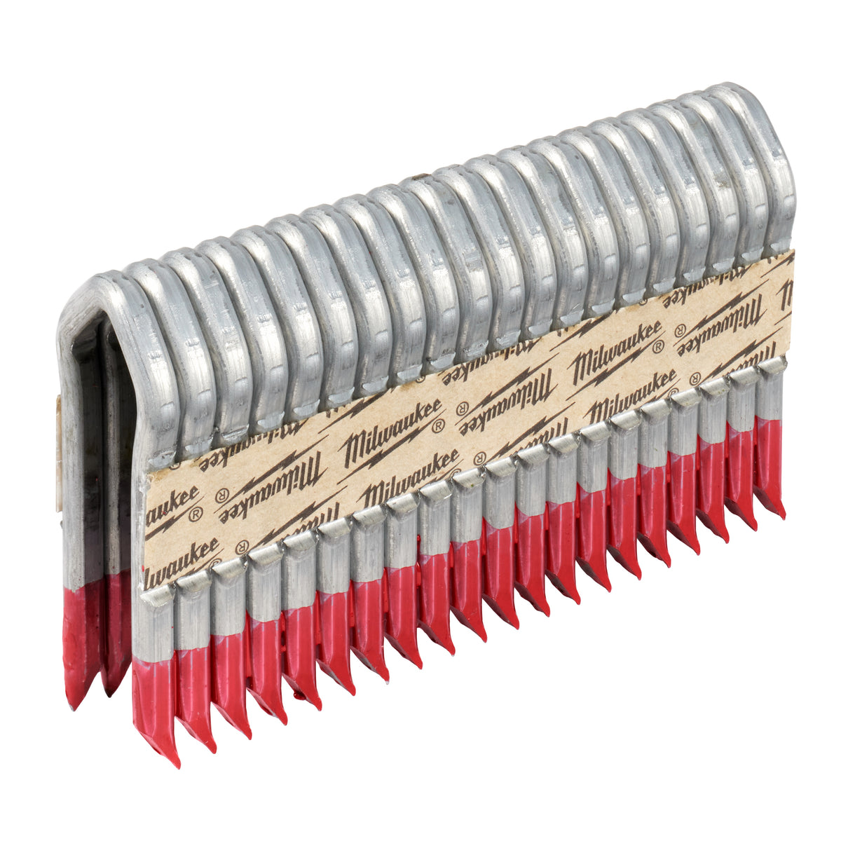 Staples - 2" L