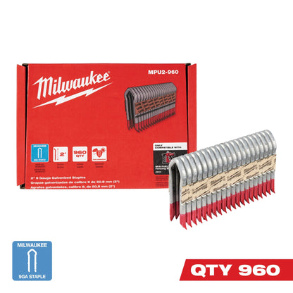 Staples - 2" L