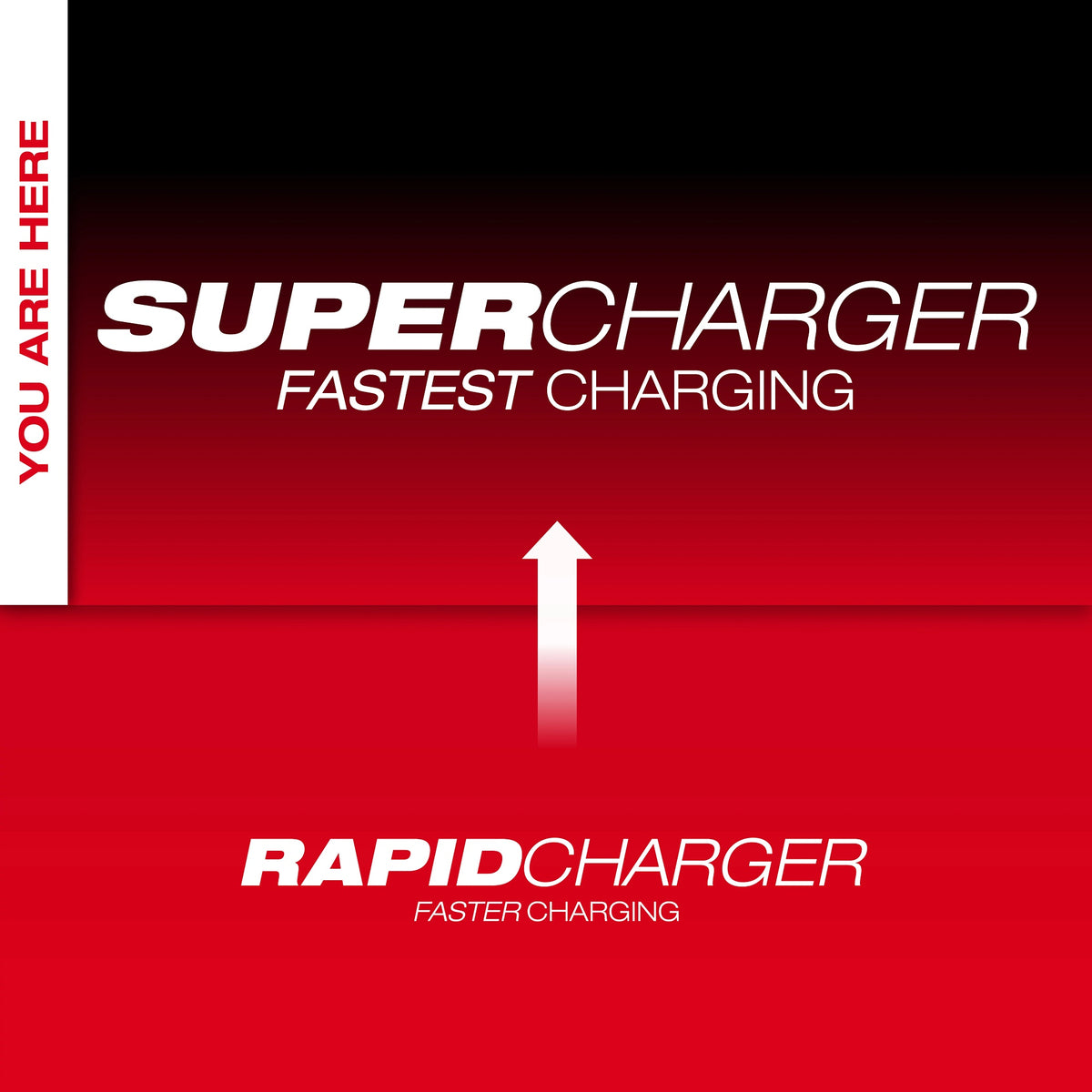 Mx Fuel Standard Battery Charger - MXFSC